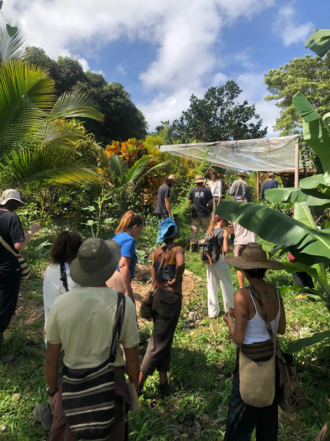 A group walking through a densely planted garden.
